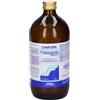 New Fa. Dem. CANFORA*10% SOL OLEOSA 1000ML