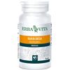 ERBA VITA GROUP SPA ZUCCA SEMI 50PRL 360MG ERBAVI