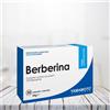 Yamamoto Berberina 30 capsule