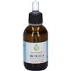 Erbex Srl Betulla Linfa 50Ml Mg 50 ml Fluido