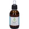Erbex Pino 50Ml Mg 50 ml Fluido