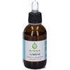 Erbex Limone Tintura Madre Soluzione Idroalcolica 50 Ml ml