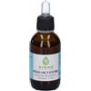 Erbex Pino Silvestre Tintura Madre Soluzione Idroalcolica 50 Ml ml