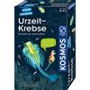 Kosmos 657871 - Set Completo per Principianti con Uova, Cibo, Vaso, pipetta, Altri Utensili