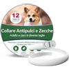 Paistely Collare Antiparassitario Per Cani, Collare Antipulci Cane Sicuro Ed Efficace Composto Da Oli Essenziali Naturali Al 100%, Efficacia 12 Mesi 65cm Collar Antizecche Per Cani Di Tutte Le Taglie (65cm)