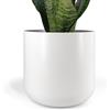 Vimin Box Elegante Vaso per orchidee in Terracotta | BIANCO OPACO LISCIO | Diametro 14 cm, Altezza 13 cm | Vaso Decorativo per Piante Grasse, Fiori, Bonsai | Elegante Coprivaso da Interno Moderno