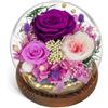 CSYY Rosa Eterna - Regalo di Natale con Luce Infinity Vetro Rosa e Austin Conservati Fiori Viola Durevoli - Regali Eterni per Donne Mamma Fidanzata Moglie San Compleanno