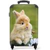 NoBoringSuitcases.com® Valigia per Bambini, Valigie con Ruote, Valigia Cabina Bambino, Valigie da Viaggio, Bagaglio a Mano (Coniglio - Verde, 55x40x20-10kg)