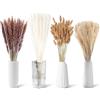 Criveple Decorazione di Pampas Grass Naturale, 100 pezzi di erba di Pampas con fiori secchi di Bunny Tails, mazzi di erba di canna per matrimoni, fiori boho e decorazioni per tavoli domestici