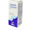 NEW FA.DEM. Srl New FaDem Canfora 10% Soluzione Oleosa 1000ml