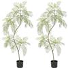 Zstar 2 alberi artificiali Jacaranda, 170 cm, grandi piante artificiali in vaso, albero jacaranda artificiale con rami regolabili, foglie realistiche, decorazione per soggiorno, balcone, ufficio