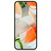 Google Pixel 9 5G 12/256GB Grigio Creta