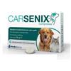 SHEDIR PHARMA SRL UNIPERSONALE Shedir Pharma Unipersonale Carsenix 30 Compresse
