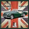 I&S / Les collections rétro IETSCPMD19651 - Biglietto di auguri Triumph TR3 1962, licenza ufficiale - Auto Passione & Collezioni Vintage - con busta bianca, formato 15 x 15 cm, biglietto quadrato interno bianco - Made in France