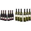 Sant'Orsola Casa Sant'Orsola Lambrusco Emilia Igt Vino Rosso Frizzante - Pacco da 6 X 750 Ml & Pinot Grigio Doc delle Venezie - Pacco da 6 x 750 ml