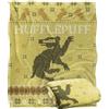 LOGOVISION HARRY POTTER Coperta, super morbida al tatto, 152 x 127 cm