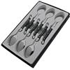 Pradel Excellence Laguiole Scatola di 6 cucchiaini da caffè 26 x 16 x 2.5 cm Grigio Marmo
