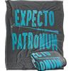LOGOVISION Harry Potter, coperta setosa al tatto, super morbida, 152 x 127 cm
