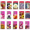 Nojaus Sėklos Nojus - Set di semi di fiori - Semi di fiori 15 varietà - Semi di fiori annuali e biennali - 15 confezioni - Semi di piante colorate - Semi di fiori di campo - Bustina di semi di fiori