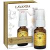 DR.GIORGINI SER-VIS Srl LAVANDA QUINTESSENZA 15ML SPR