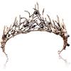 Ahaimy Corona Perle Nere, Accessori Strega Da Donna, Corona Cigno Nero, Corona Di Capelli Da Principessa Vintage per La Festa Di Compleanno Del Ballo Di Fine Anno, Natale, Ballo Di Halloween