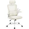 WOLTU Sedia Ufficio Ergonomica, Sedie Ufficio a Rete Traspirante, Con Supporto Lombare Adattativo a Forma Di C, Poggiatesta Regolabile, Braccioli Ribaltabili, per Scrivania, Casa, Beige