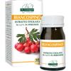 VIS GIORGINI SER-VIS BIANCOSPINO ESTR TIT 60PAST