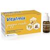 VITALMIX MONTEFARMACO OTC SpA Vitalmix Pappa Reale 10 Flaconcini senza Glutine x 10 ml