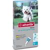 ELANCO ITALIA SpA Advantix Spot On*4pip 4-10kg