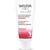 Weleda Oral Care Dentifricio Ratania 75 Ml