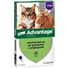 ELANCO ADVANTAGE SPOT ON GATTI 0,8ML 4 PIPETTE SUPERIORE A 4 KG SCADENZA 07-2029