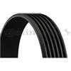 CONTITECH 6 PK 780 ELAST Cinghie Trapeiz