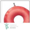 For.me.sa Ciambella Gonfiabile Steam Deluxe Antidecubito 40 Cm