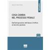 Maggioli Editore Cosa cambia nel processo penale. Dall'abrograzione dell'abuso d'ufficio al decreto giustizia. Con espansione online