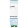 ERBA VITA CLOROFILLA Soluzione Idroalcolica. 50ml