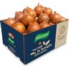 Antonio Ruggiero patate dal 1889 Cipolle RUGGIERO dorate per SOFFRITTI box 5 kg