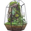NCYP Recinzione geometrica chiusa in vetro con porta per insetti, vaso nero irregolare alto 24,9 cm, per cactus e succulenti, decorazione per casa e giardino, fatto a mano