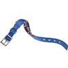 Ferplast Collare Cane Daytona Fantasy, Collare per Cani Taglia Piccola, Collare in Nylon, Imbottito, Regolabile 27-35 cm con Fibbia in Metallo, Blu/Fantasia
