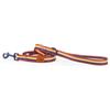 Preziosi Pet - Guinzaglio Per Cani Piccola Media Taglia e Cuccioli, Corda Da Passeggio In Nylon, Resistente, Lungo 125 Cm Alto 2 Cm.