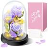 Touloube Regalo di San Valentino Per Mamma Nonna, Fiore Rosa Regalo per Lei - 3 Rose di Seta Viola con Luce a LED in una Cupola di Vetro per la Festa Della Mamma, Compleanno, Anniversario,Fiore Rosa Regalo