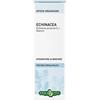 ERBA VITA GROUP SpA ECHINACEA RX SOL IAL 50ML