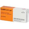 Molteni Luan 2,5% Gel Lidocaina Cloridrato Lubrificante e Anestetica per Manovre Endouretrali, 15g + Applicatore