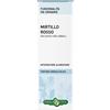 ERBA VITA GROUP SpA Mirtillo Rosso Foglie Tintura Idroalcolica 50 ml - Integratore naturale per il benessere delle vie urinarie
