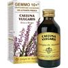 DR.GIORGINI SER-VIS Srl ERICA 100ML ANALCO GEMMO 10+