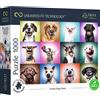 Trefl Prime - Puzzle Uft Funny Dogs Faces - 1000 Elementi, Cartone Più Spesso, Bio, Eco, Cani Divertenti, Ritratti Di Cani, Animali, Collage, Intrattenimento Creativo Per Adulti E Bambini Sopra
