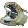 PROMETHEAN 610 340 8569, PRM10 LAMP LAMPADA COMPATIBILE SENZA SUPPORTO (SOLO BULBO)