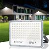 TASINUO Faretto LED da Esterno 100W, 10000LM Faro LED Esterno, 6500K Bianca Fredda Faretti LED, Applique da Esterno Impermeabile IP67 Luci da Esterno per Giardino Terrazza Garage Cortile