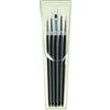 Pro Arte Brushes Sets Pro Arte Polar Scholar Oil Acrylic Watercolour Paint Brush - Set : Scholar 34Wa by Pro Arte