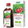 SALUS HAUS Gmbh & Co KG MELOGRANO SUCCO 200 ML BIO