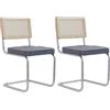 Uderkiny Set di 2 Sedie da Pranzo，Sedie cucina，Sedie rattan, Schienale in rattan/struttura cromata/cuscino in velluto, adatto per sala da pranzo/ufficio/cucina/camera da letto(Grigio,2)